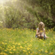 Nature Enfant Fleur Cueillette Flora