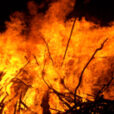 Feu Bois Fir0002