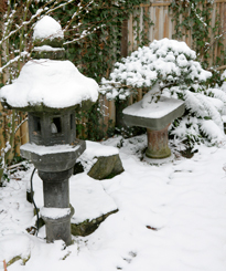 Jardin japonias Hiver neige Lanterne Bonsai Mioulane MAP NPM 850369062