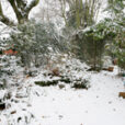 Jardin Hiver Neige Mioulane NPM 850369053