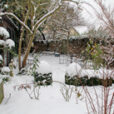 Jardin Neige Mioulane MAP NPM 914378204