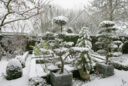 Jardin hiver neige Mioulane MAP NPM 850369027