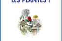 A quoi pensent les plantes