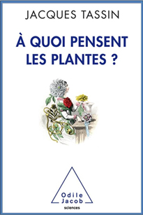 A quoi pensent les plantes