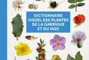 Dictionnaire Garrigue Couv