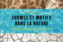 Formes et motifs dans la nature NewsJardinTV