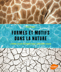 Formes et motifs dans la nature NewsJardinTV