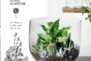 Terrariums NewsJardinTV