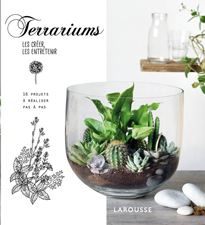 Terrariums NewsJardinTV