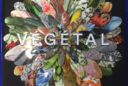 Vegetal Couverture NewsJardinTV IMG 1518