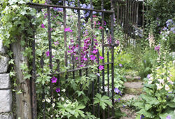 Portail Jardin Mioulane MAP NPM 719514071