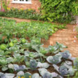 Potager Choux Mioulane NPM 850310444