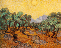oliviers Van Gogh
