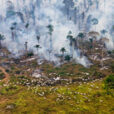Deforestation Feu Daniel Beltra