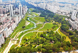 Developpement durable Ville Jardin Flora