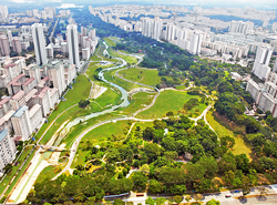 Developpement durable Ville Jardin Flora