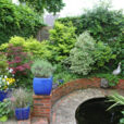 Massif arbustes Bassin Mioulane NewsJardinTV MAP NPM 2307518463