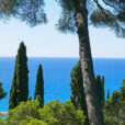 Mediterranee NewsJardinTV NPM 2507522739