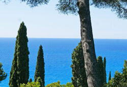 Mediterranee NewsJardinTV NPM 2507522739