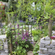 jardin ruine Mioulane MAP NPM 719514066