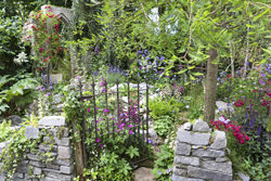 jardin ruine Mioulane MAP NPM 719514066