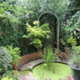 Jardin Bassin Mioulane NewsJardinTV NPM 719516294