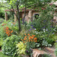 Jardin Provence Mioulane NewsJardinTV 9N7B1256