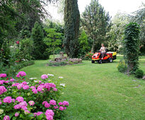Tonte Pelouse Jardin Mioulane NewsJardinTV NPM 080116216