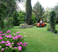 Tonte Pelouse Jardin Mioulane NewsJardinTV NPM 080116216