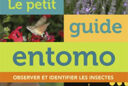 Le petit guide Entomo