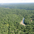 Foret Amazonie Mioulane NewsJardinTV NPM 84937351