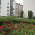 Jardin Urbain Mioulane NewsJardinTV NPM 2507524984