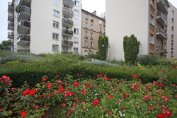 Jardin Urbain Mioulane NewsJardinTV NPM 2507524984
