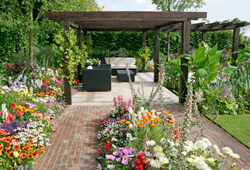 Pergola Massif Jardin Mioulane NewsJardinTV NPM 850407086