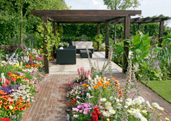 Pergola Massif Jardin Mioulane NewsJardinTV NPM 850407086