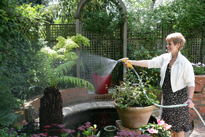 Arrosage Bassinage Mioulane NewsJardinTV NPM 84946060