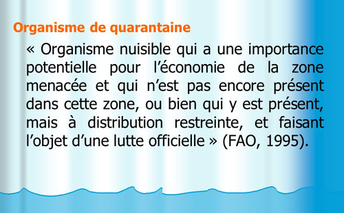 Quarantaine