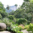 Jardin botanique Rio Bresil Mioulane NewsJardinTV NPM 84937002