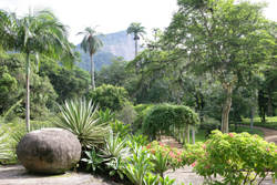 Jardin botanique Rio Bresil Mioulane NewsJardinTV NPM 84937002