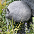 Fontaine Mioulane NewsJardinTV NPM 850312319
