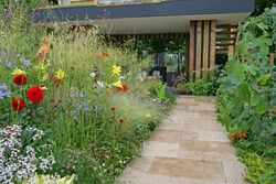 Jardin urbain Sauvage Mioulane NewsJardinTV NPM 2507528837