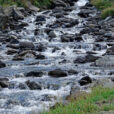 Torrent montagne Mioulane NewsJardinTV DSC0229