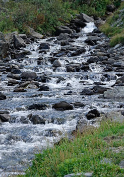 Torrent montagne Mioulane NewsJardinTV DSC0229