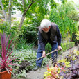 Plantation Trou Mioulane NewsJardinTV NPM 2507527628