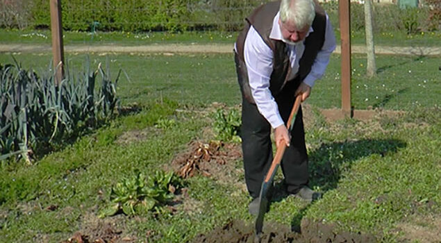 Labour, bechage, emiettage