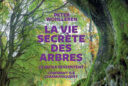 La vie secrete des arbres