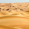 Desert Dubai Mioulane NewsJardinTV NPM 90180669
