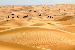 Desert Dubai Mioulane NewsJardinTV NPM 90180669