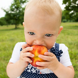 Enfant croque une peche