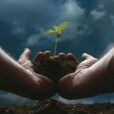 Humanite Nature DR